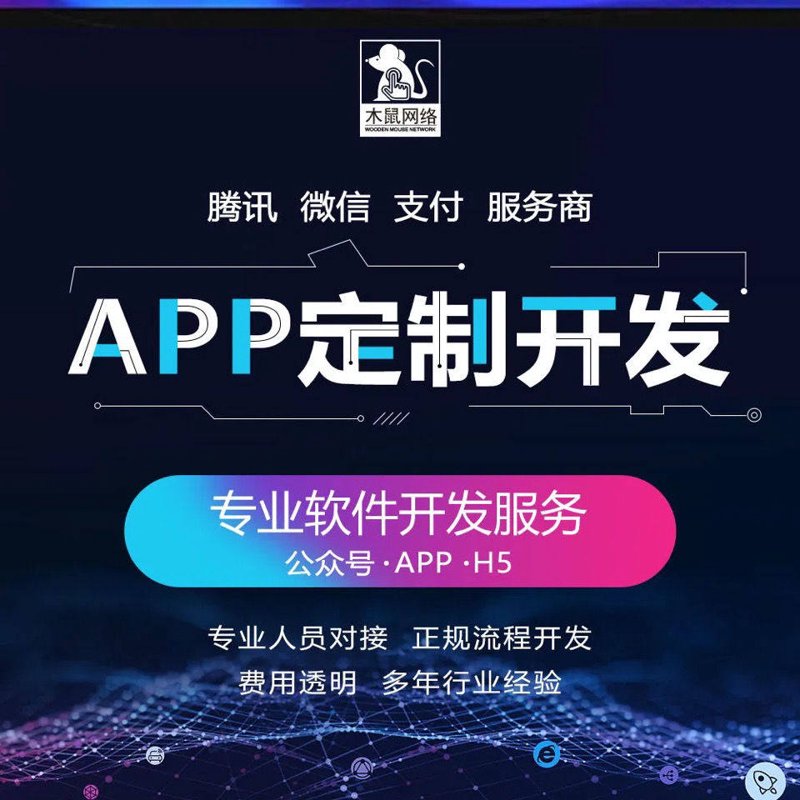 软件开发：推动数字未来的核心力量